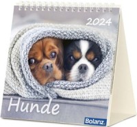 Hunde - Tischkalender 2024